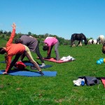 Stage yoga et cavaliers au domaine de Firfol - Mai 2012