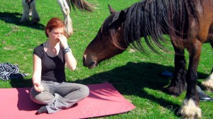 Stage yoga et cavaliers au domaine de Firfol - Mai 2012