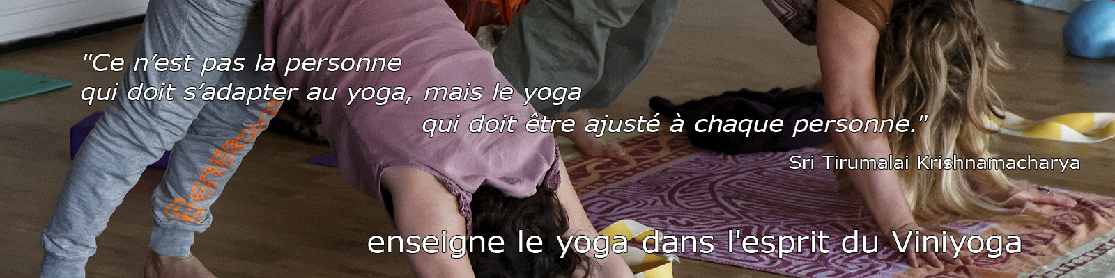 Association de yoga Equi-Libre